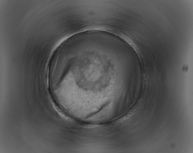 X0000090931127200708271039