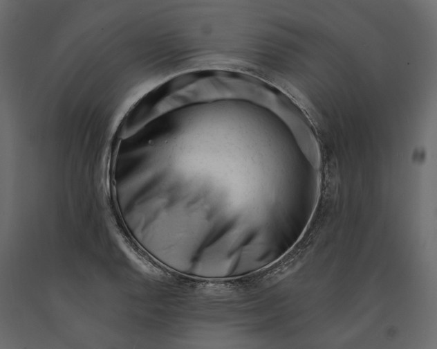 X0000090931128200708271039