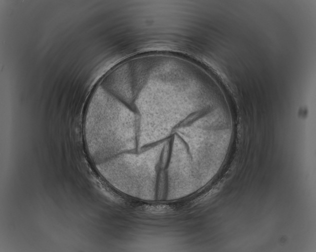 X0000090931129200708271039