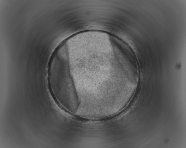 X0000090931133200708271039