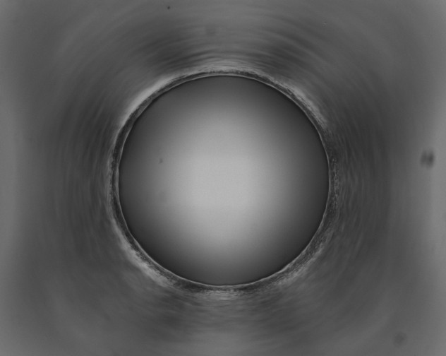 X0000090931134200708271039