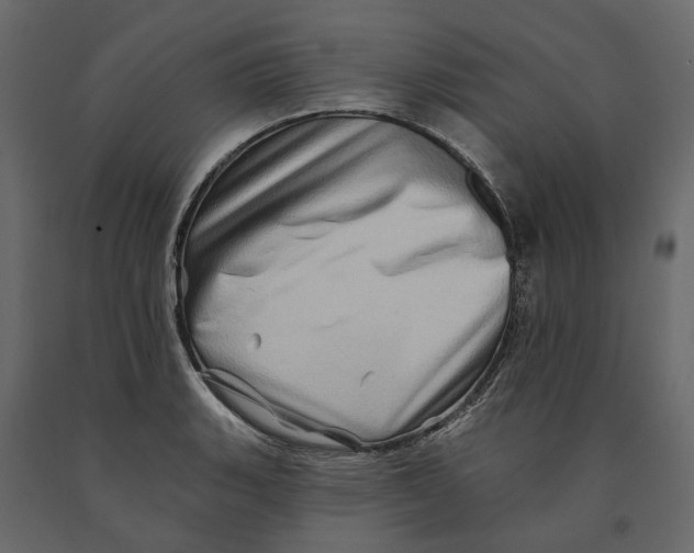 X0000090931135200708271039