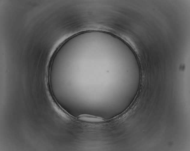 X0000090931136200708271039