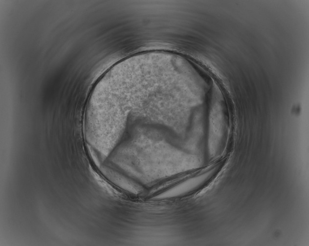 X0000090931137200708271039