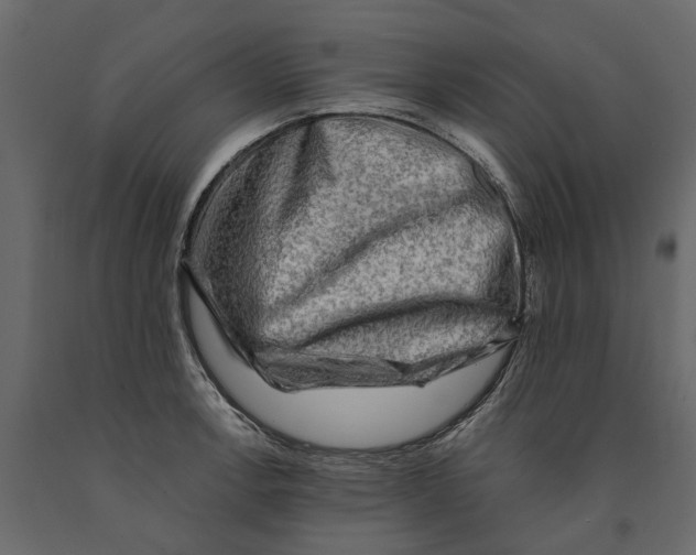 X0000090931138200708271039