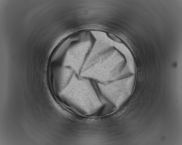 X0000090931139200708271039