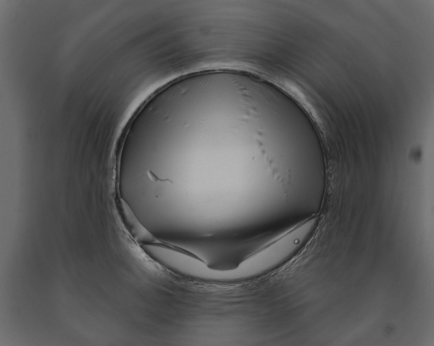 X0000090931140200708271039