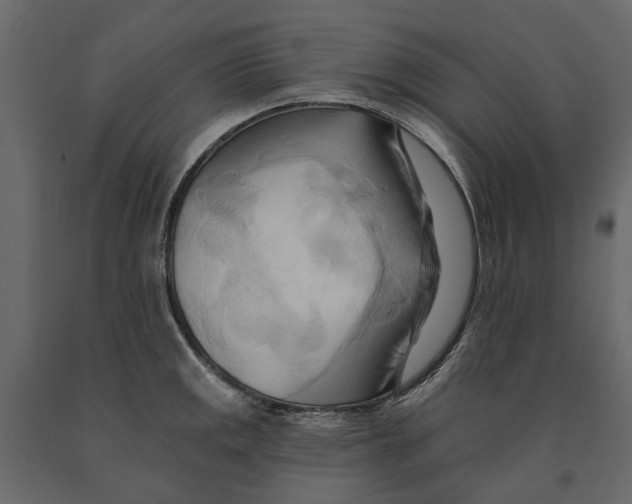 X0000090931141200708271039