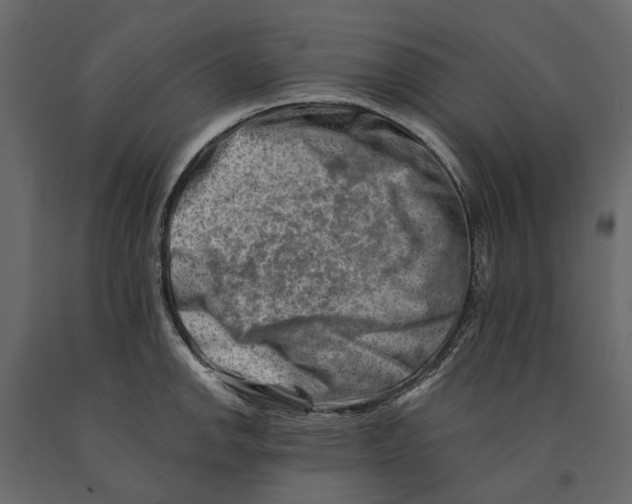 X0000090931142200708271039