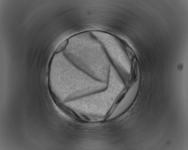 X0000090931143200708271039