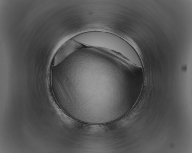 X0000090931144200708271039