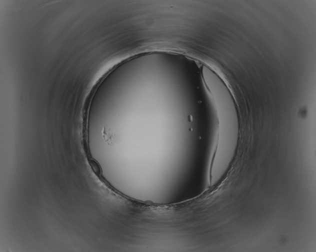 X0000090931147200708271039