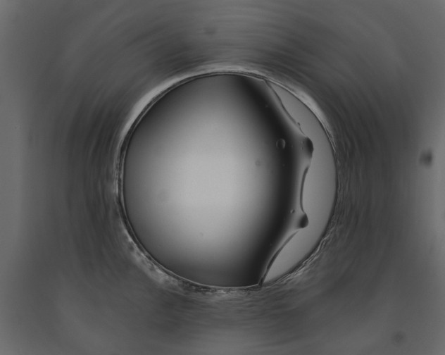 X0000090931148200708271039