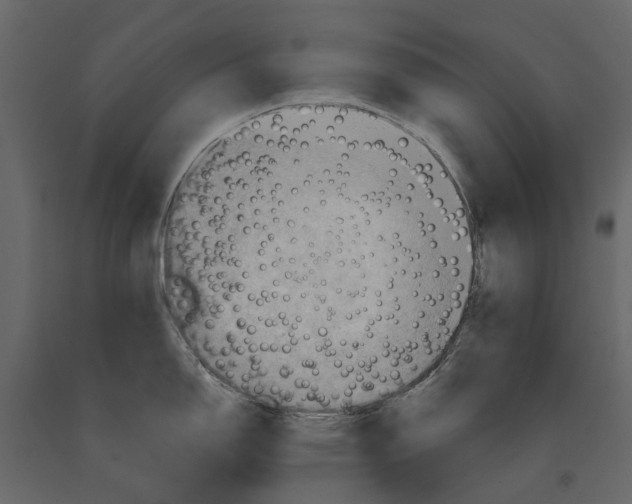 X0000090931150200708271039