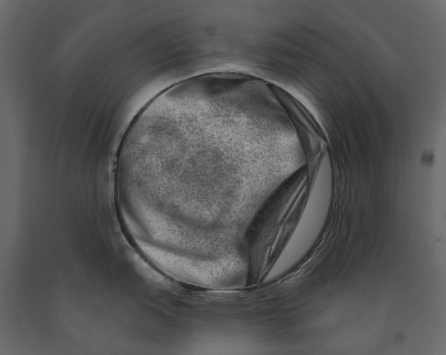 X0000090931151200708271039