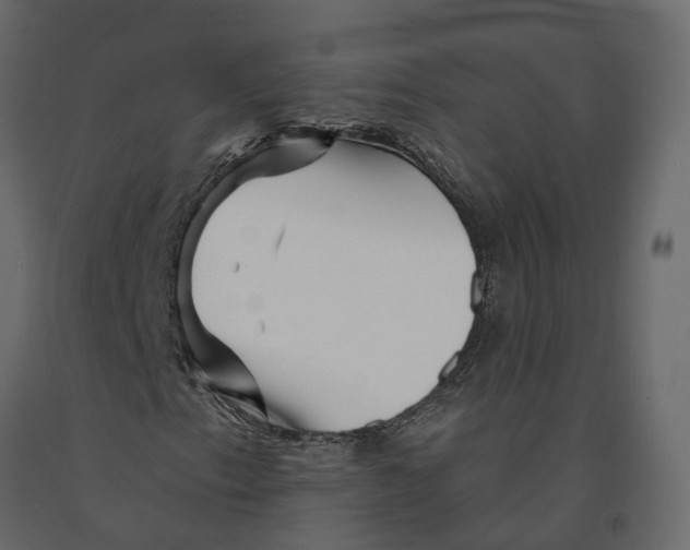 X0000090931153200708271039