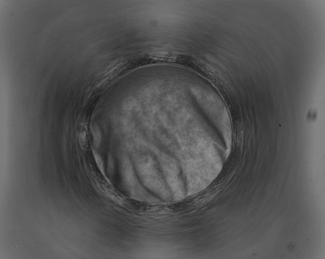 X0000090931154200708271039