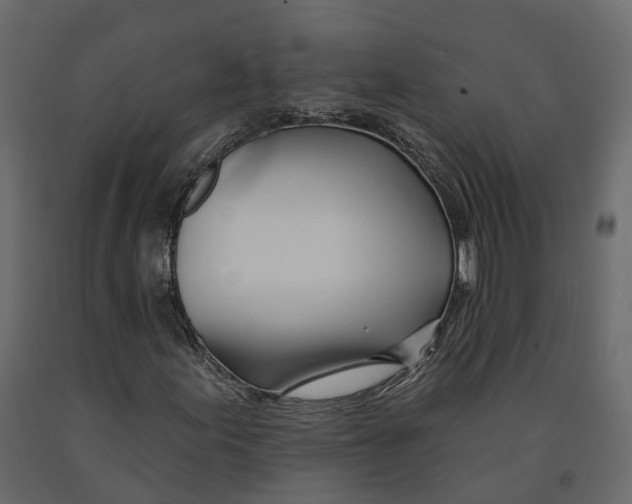 X0000090931155200708271039