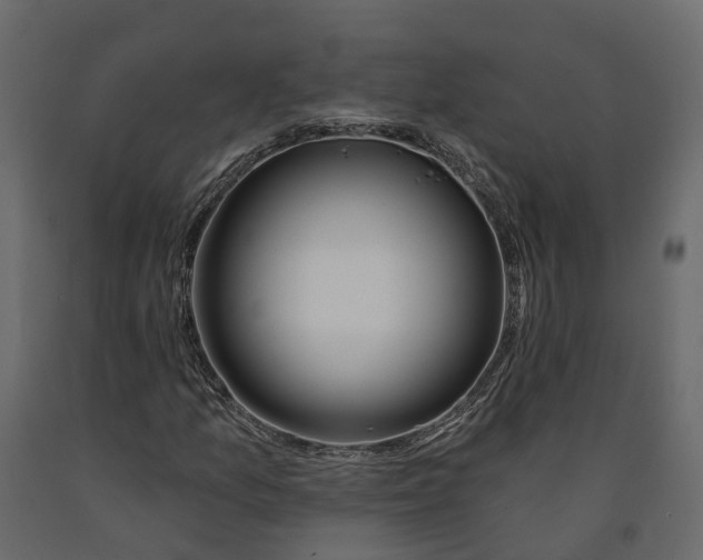 X0000090931157200708271039