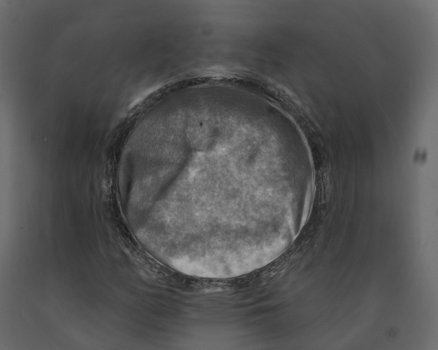 X0000090931158200708271039