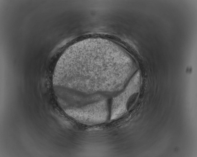 X0000090931159200708271039