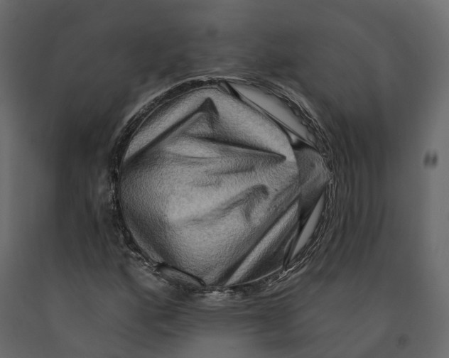 X0000090931160200708271039