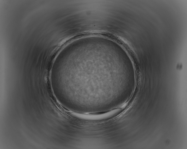 X0000090931161200708271039