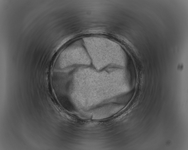 X0000090931162200708271039