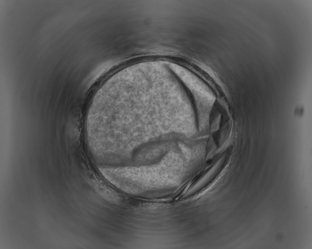 X0000090931163200708271039