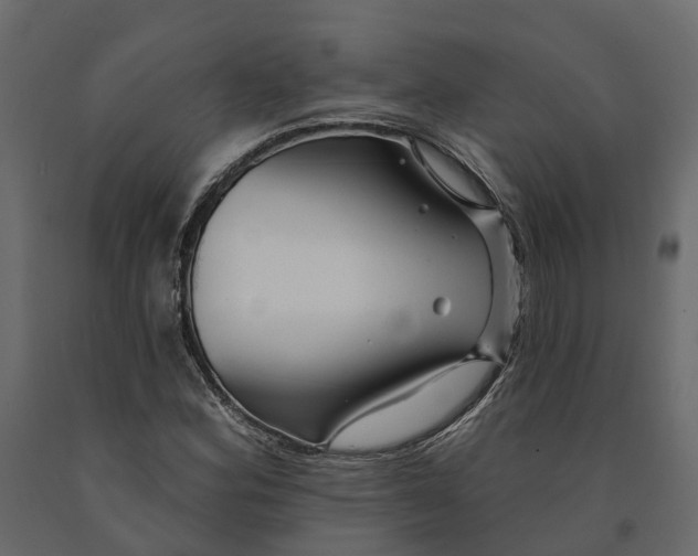 X0000090931164200708271039