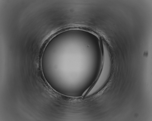 X0000090931165200708271039