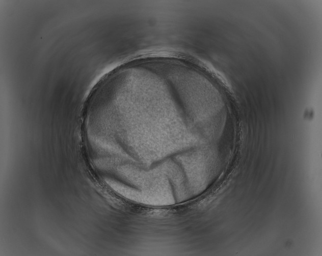 X0000090931166200708271039