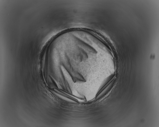 X0000090931167200708271039