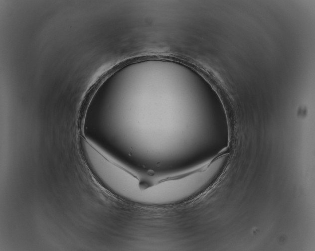 X0000090931168200708271039