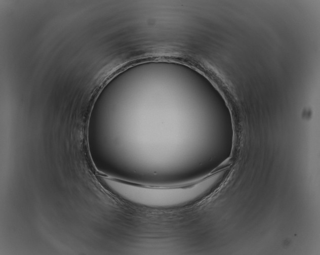 X0000090931169200708271039