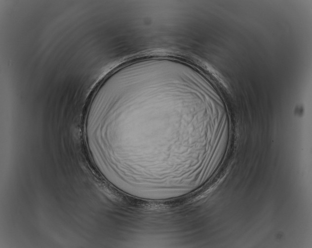 X0000090931170200708271038