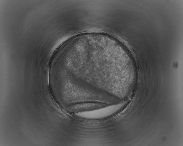 X0000090931171200708271038