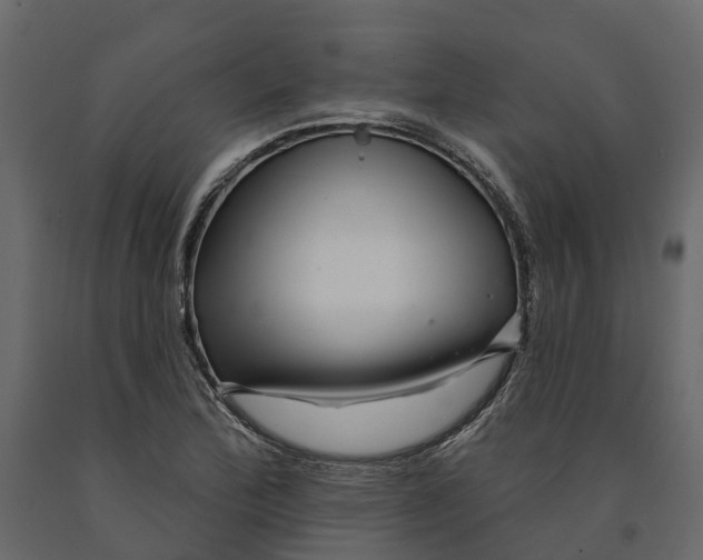 X0000090931172200708271038