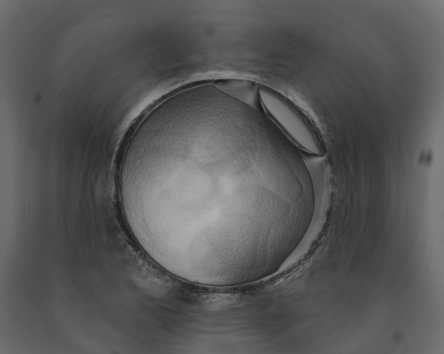 X0000090931173200708271038