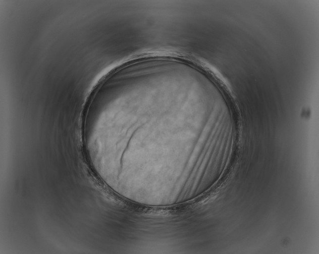 X0000090931174200708271038