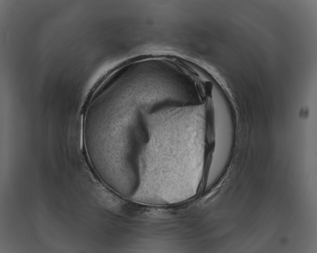 X0000090931175200708271038