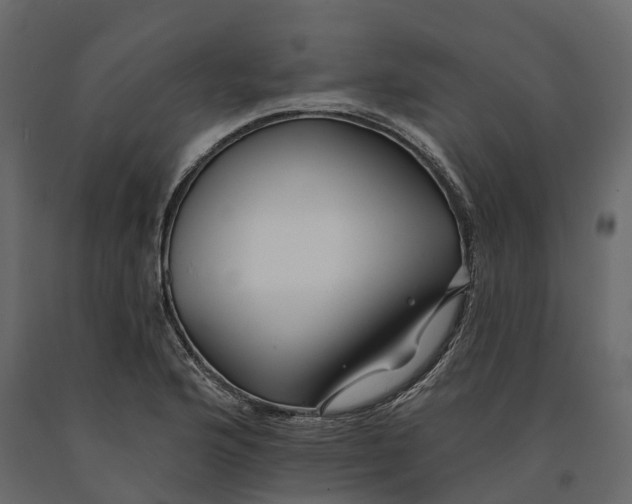 X0000090931176200708271038