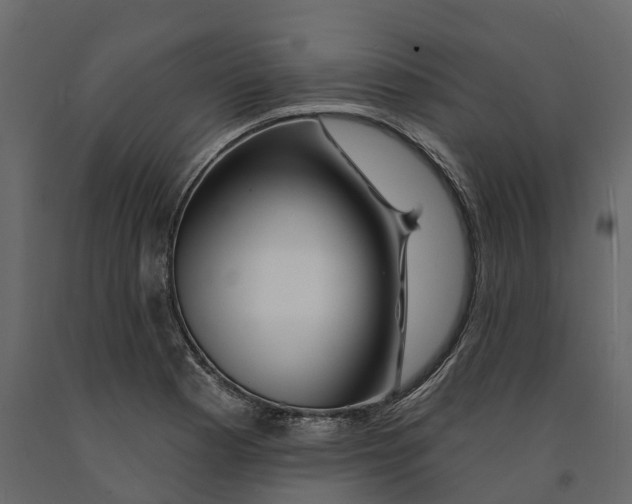 X0000090931177200708271038