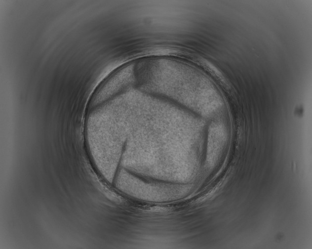 X0000090931178200708271038