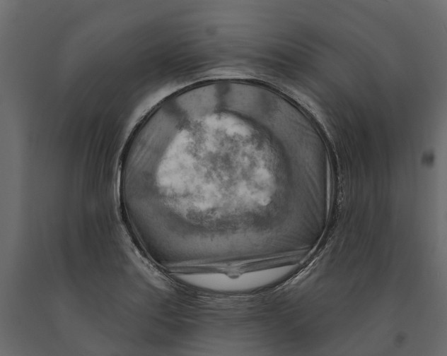 X0000090931179200708271038