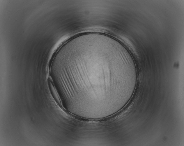 X0000090931180200708271038