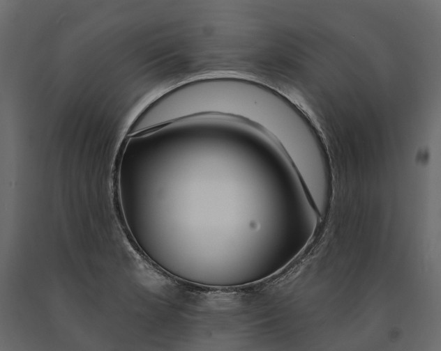 X0000090931181200708271038