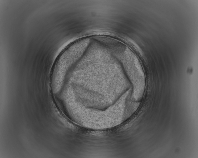 X0000090931182200708271038