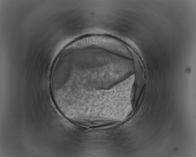 X0000090931183200708271038