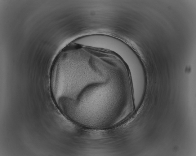 X0000090931184200708271038